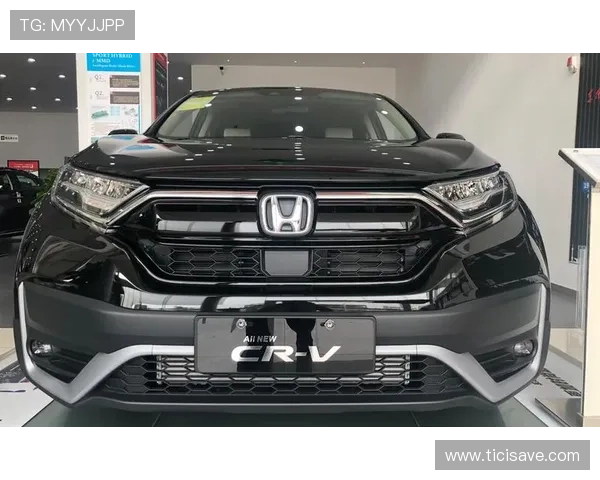 欧博二代d豪华版价格对比不同版本的性价比分析 欧博二代d豪华版价格对比不同版本的性价比分析